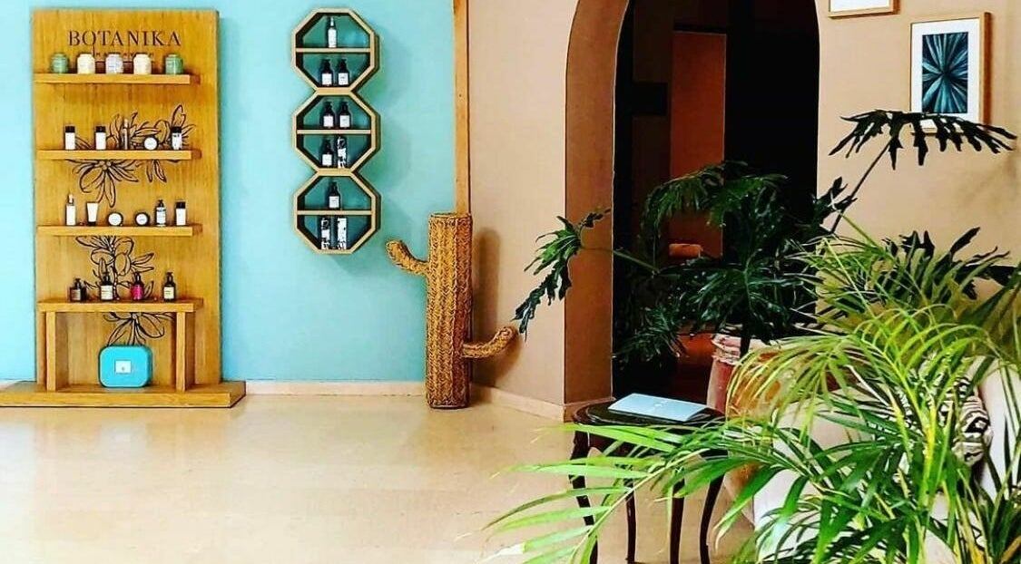 Intérieur moderne au Wud Spa à El Bour, Marrakesh-safi, MA, avec étagères épurées et plantes vertes luxuriantes.