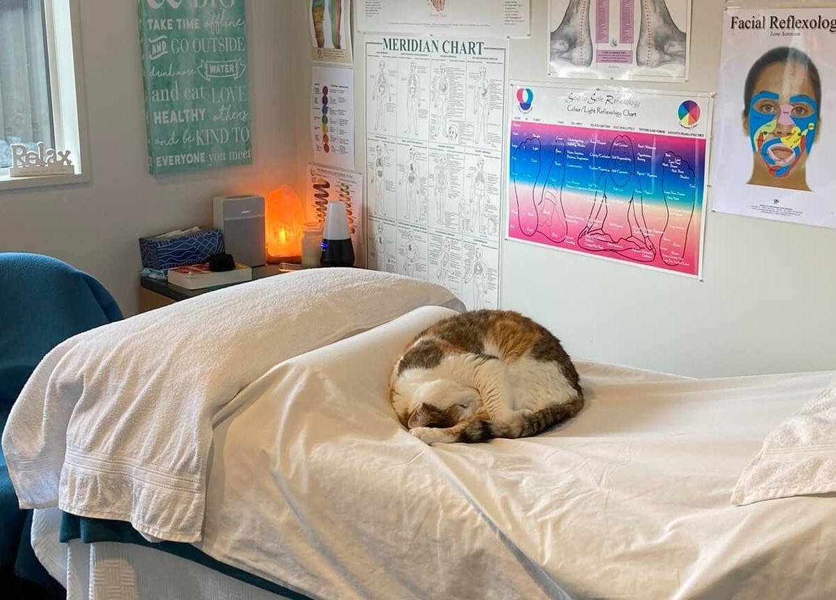 Cozy therapy room with a cat on the massage table at Cath Relaxology, Kaiapoi, Canterbury, NZ.