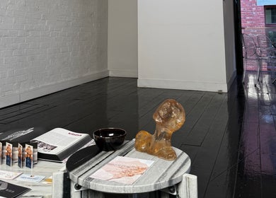 Elegant interior at Cosmeticca Skin Clinic, Melbourne, Victoria, AU featuring stylish decor and modern furnishings.
