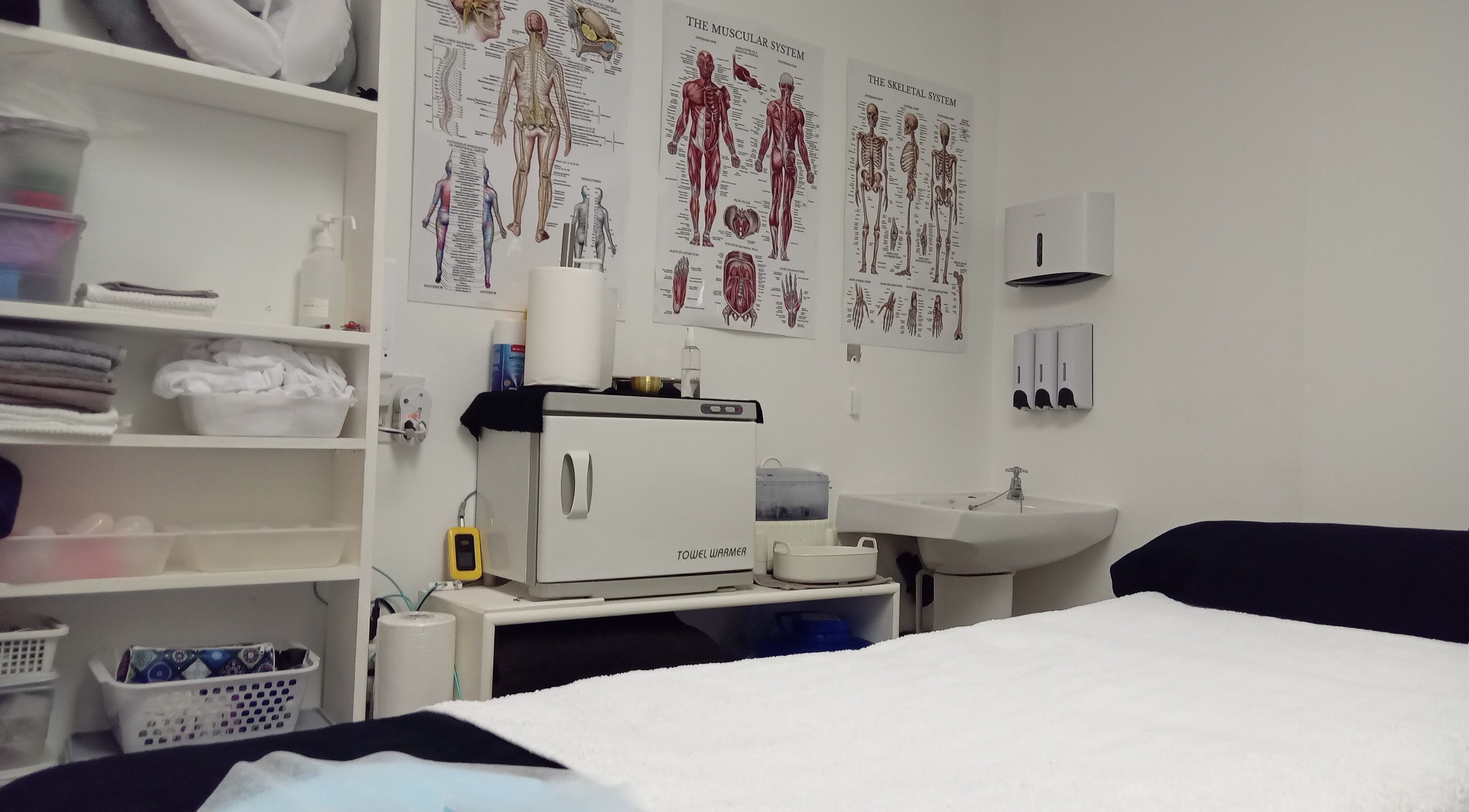 Massage Clinic - Bradley room in Durban North, Kwazulu-natal, ZA with anatomical charts and treatment table.