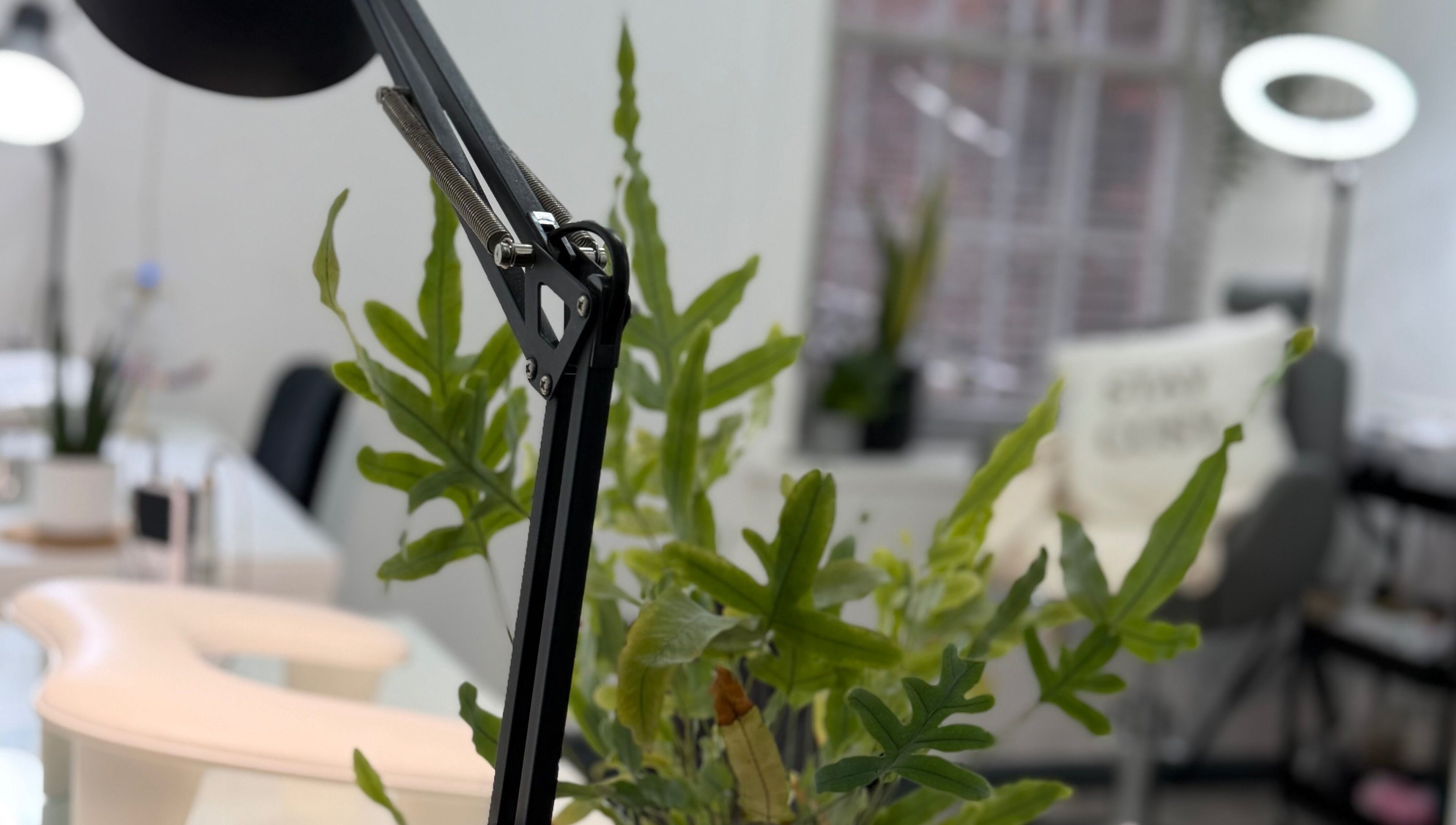 Modern workspace at Blossom Beauty in Forfar, Scotland, GB with stylish decor and ambient lighting.