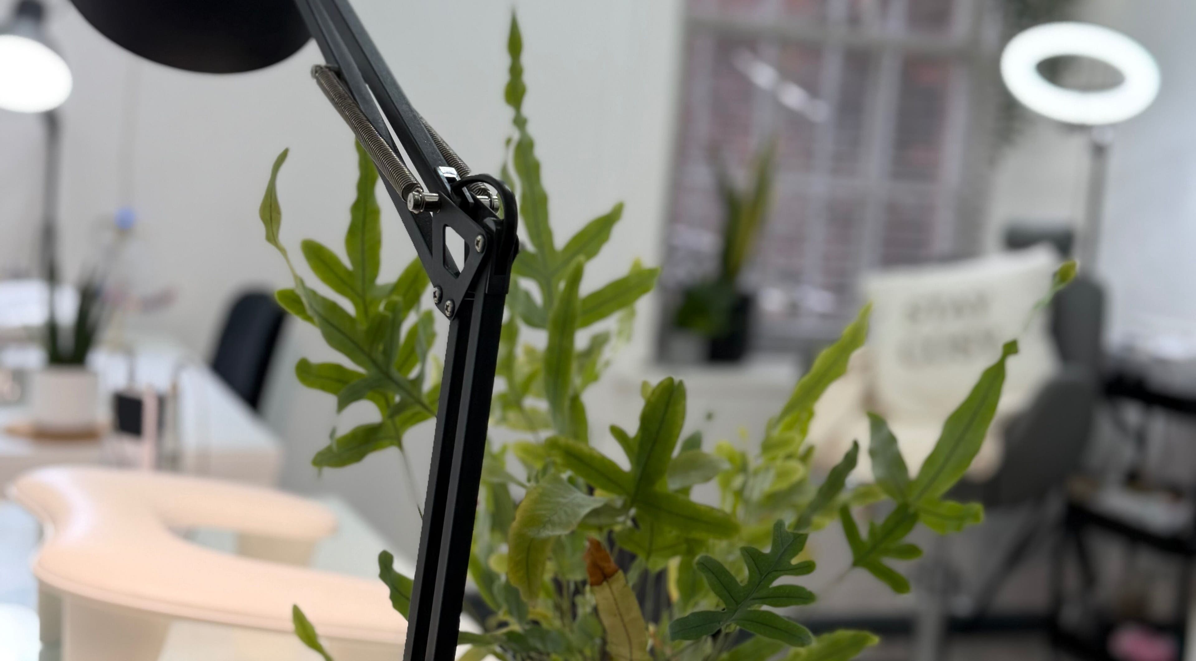 Modern workspace at Blossom Beauty in Forfar, Scotland, GB with stylish decor and ambient lighting.