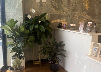 Reception area of The Retreat Room At Glo Medispa, Grantham Farm, New South Wales, AU with lush green plants.