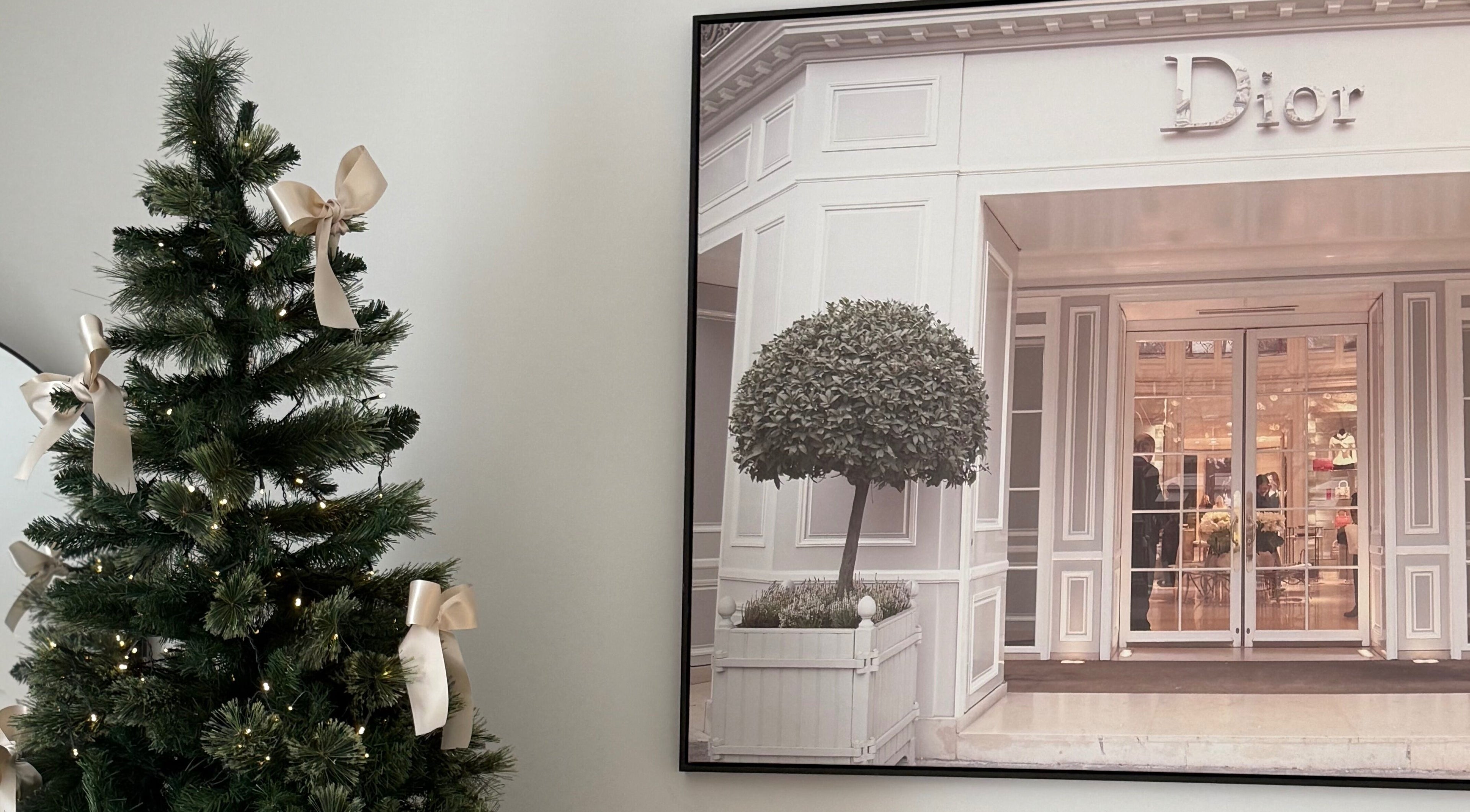 Elegant decor at Aesthetixx in Coburg North, Victoria, AU with a decorated tree and chic wall art.