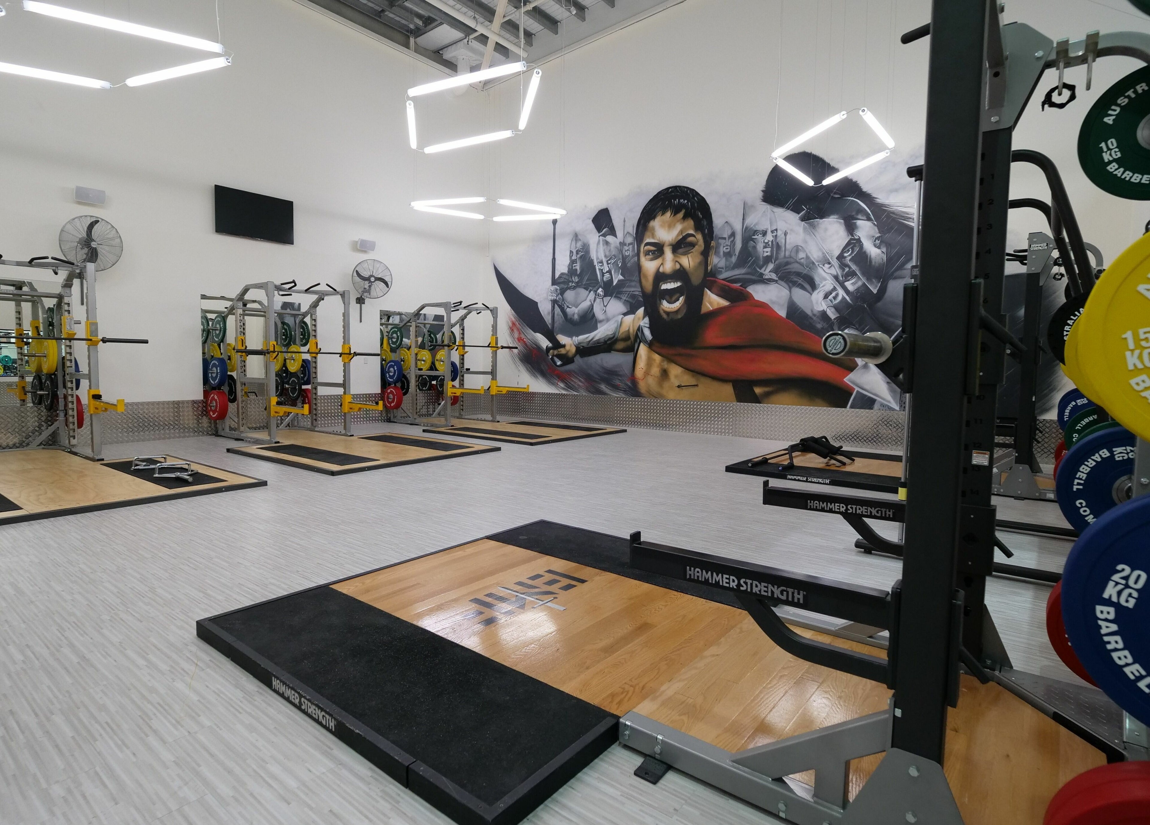 State-of-the-art gym at EMF Performance Centre | Coomera, Upper Coomera, Queensland, AU with vibrant wall art.