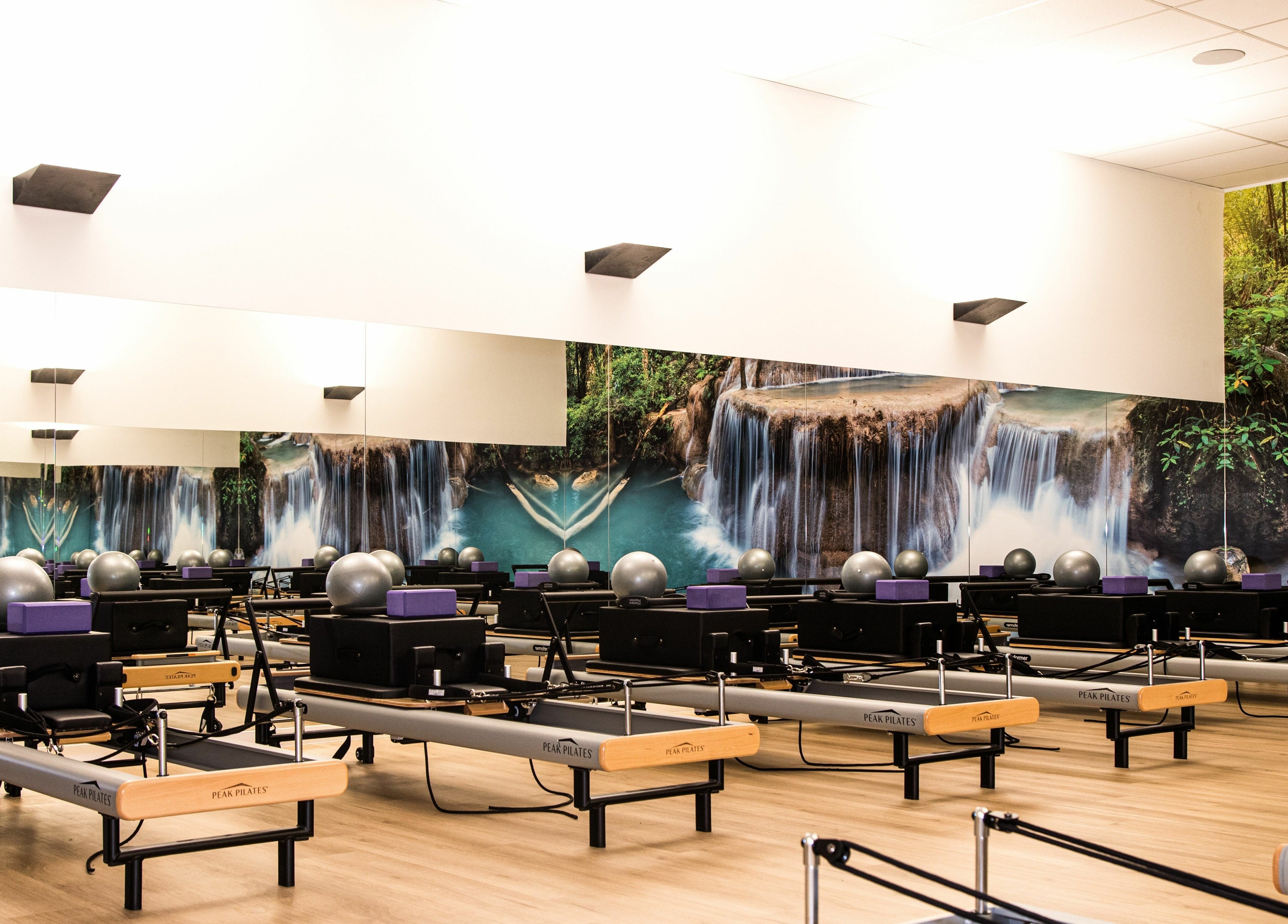 Pilates reformer studio at EMF Performance Centre | Browns Plains, Browns Plains, Queensland, AU with nature mural.