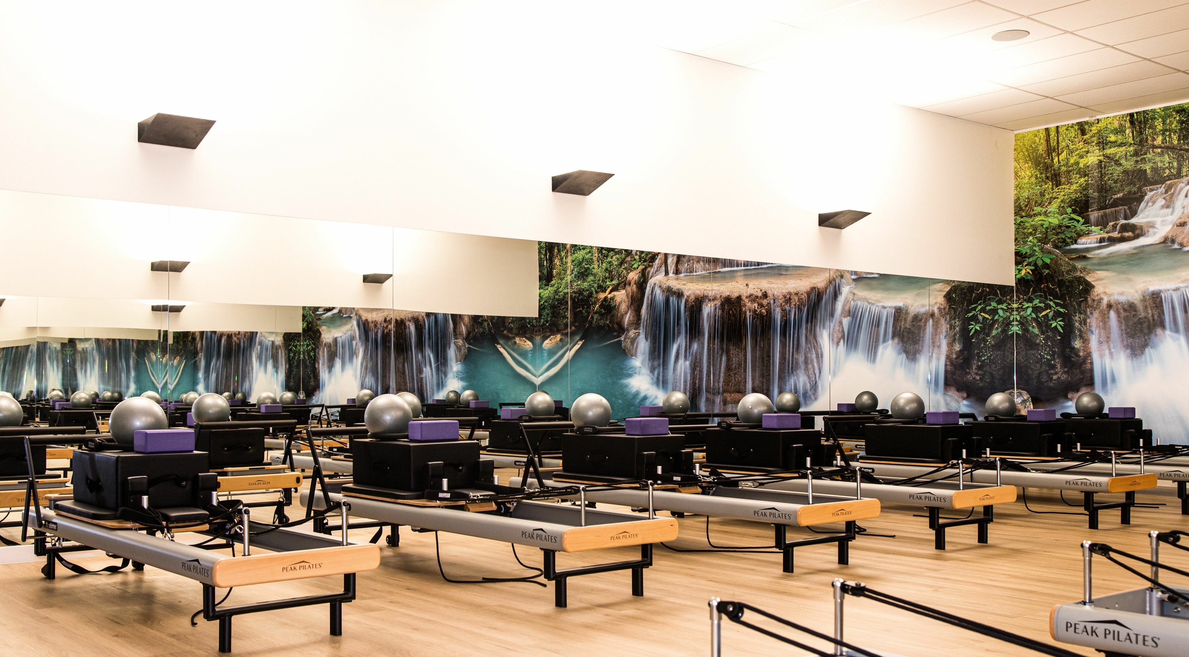 Pilates reformer studio at EMF Performance Centre | Browns Plains, Browns Plains, Queensland, AU with nature mural.