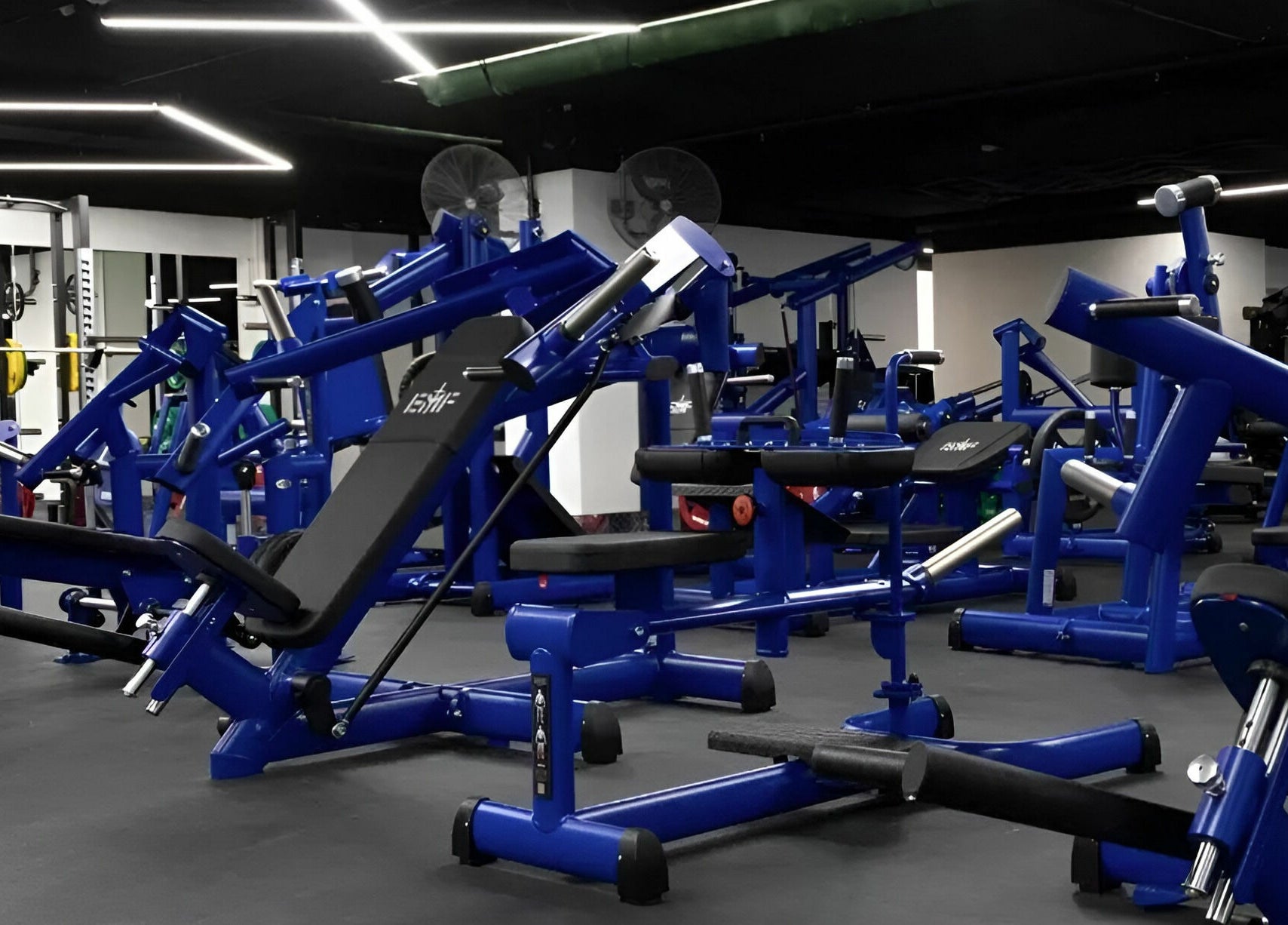Modern gym equipment at EMF Performance and Recovery Centre | Miranda, New South Wales, AU.