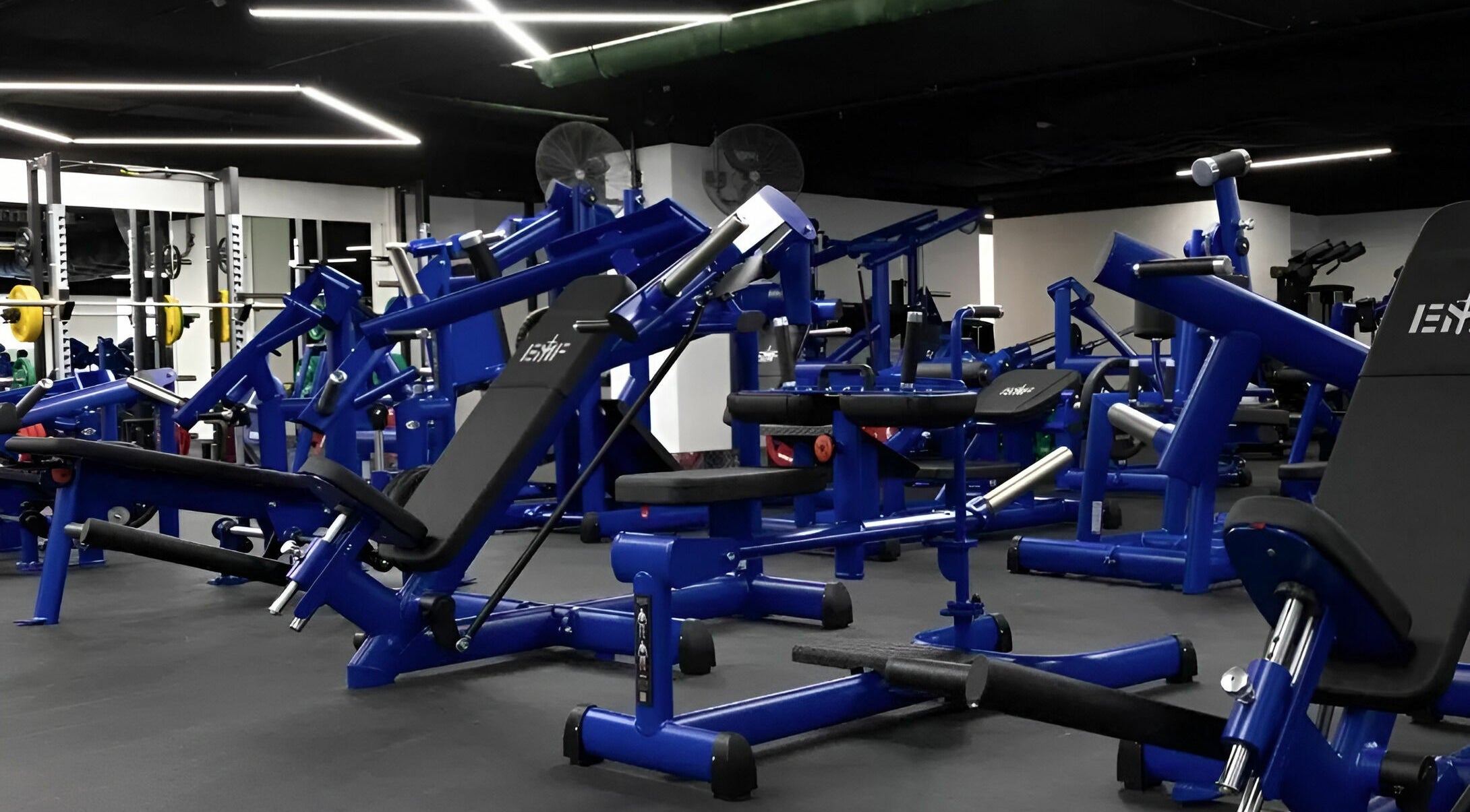Modern gym equipment at EMF Performance and Recovery Centre | Miranda, New South Wales, AU.