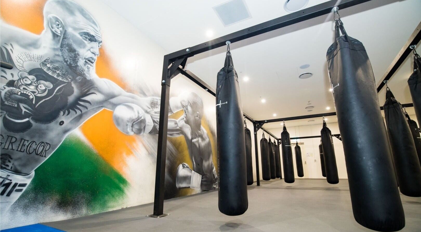Boxing bags and mural at EMF Performance and Recovery Centre | Nerang, Highland Park, Queensland, AU.