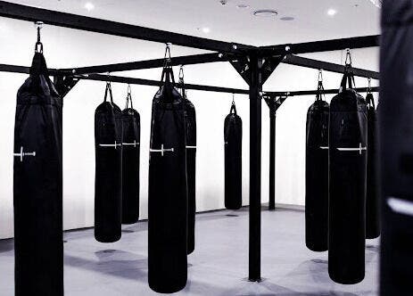Punching bags hanging at EMF Performance and Recovery Centre | Nerang, located in Highland Park, Queensland, AU.