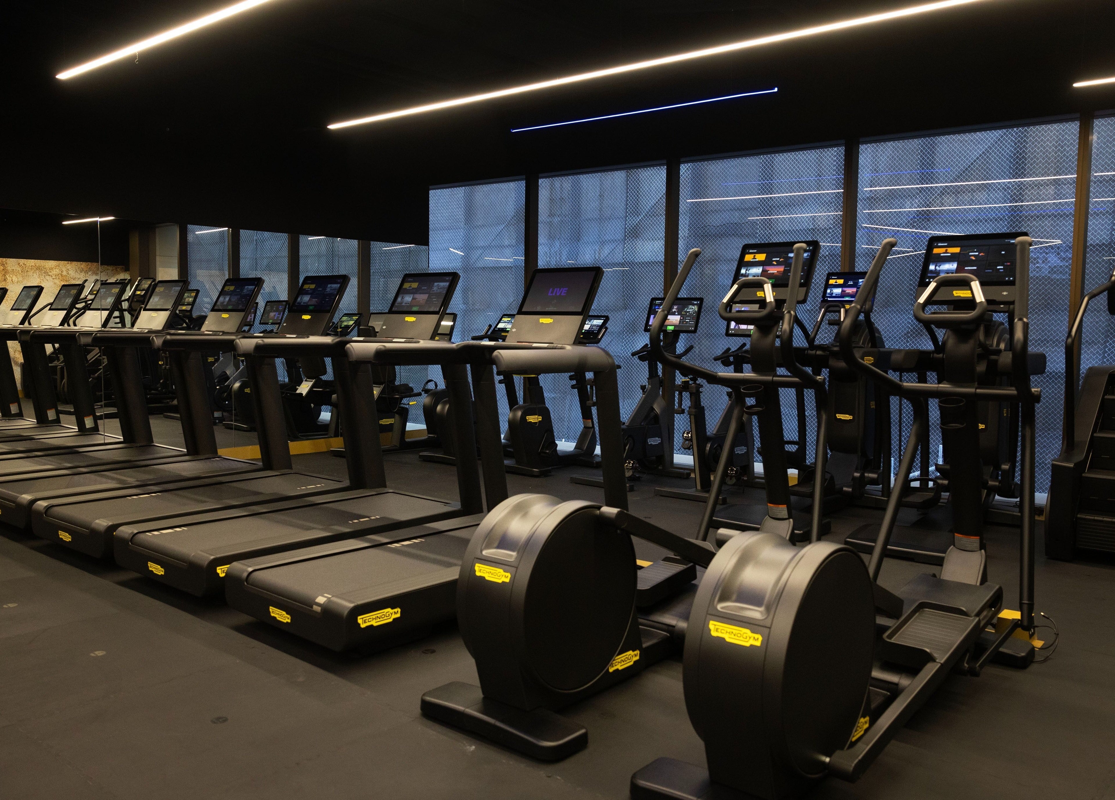 Modern gym at EMF Health Club | Circular Quay in Sydney, New South Wales, AU showcasing top-notch fitness equipment.