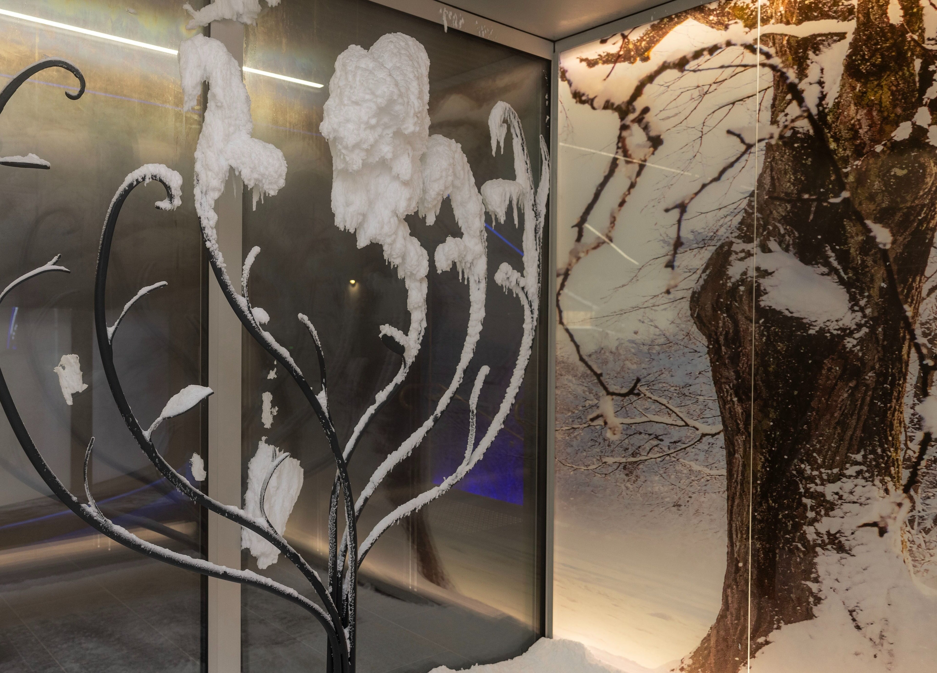 Snow-covered decor at EMF Health Club | Circular Quay in Sydney, New South Wales, AU, enhancing a serene ambiance.