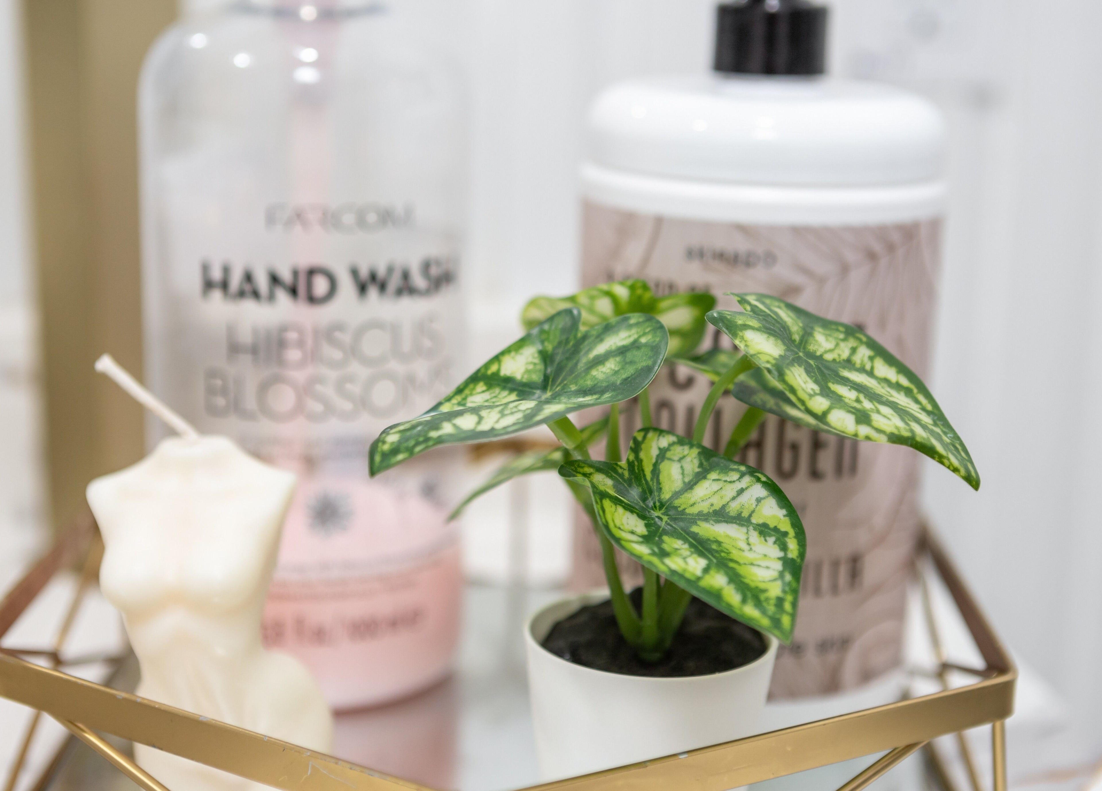 Chic display of hand wash and plant at Aura Wellness, Vaughan, Ontario, CA enhancing a serene atmosphere.