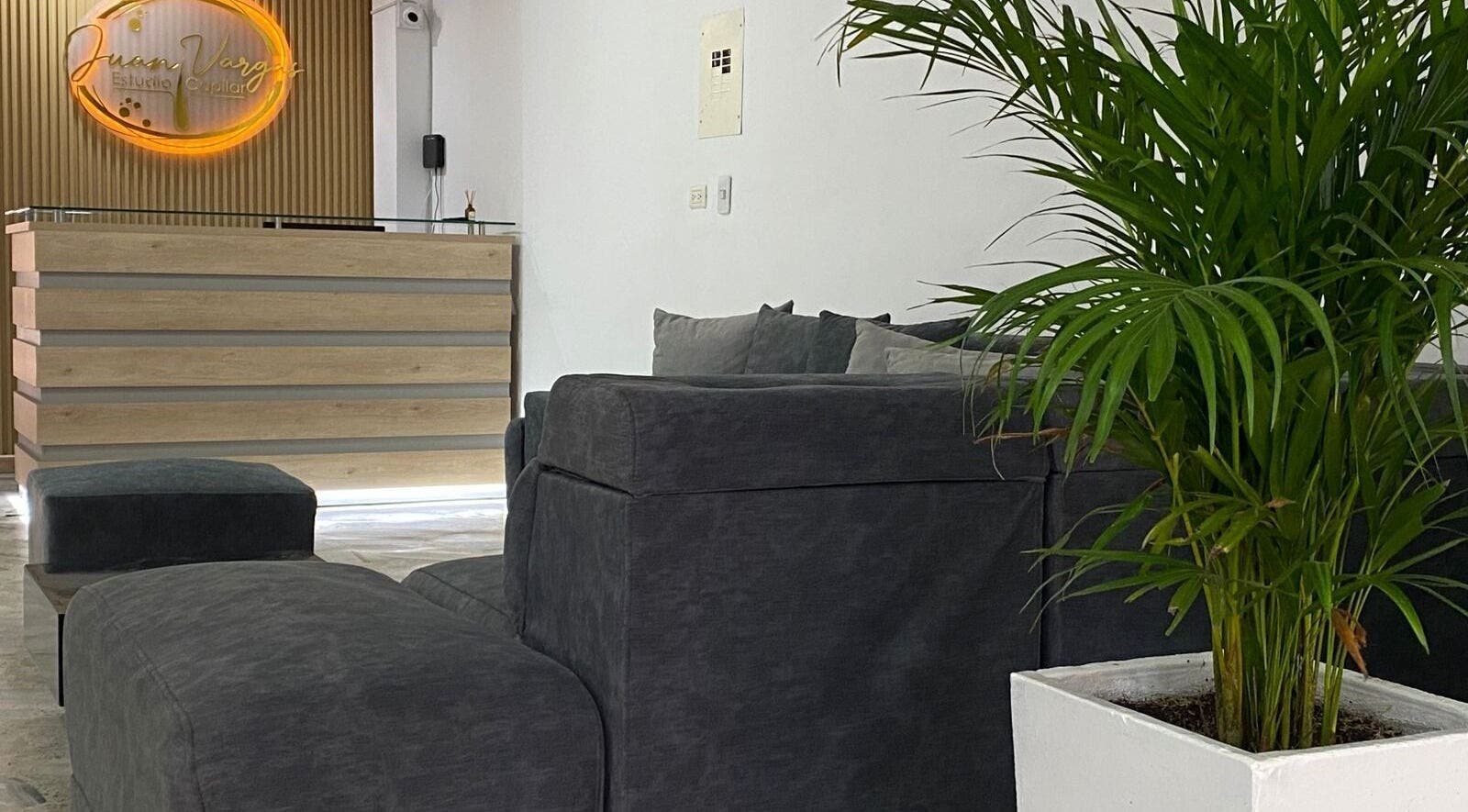 Recepción moderna en Juan Vargas Estudio capilar Cali con muebles grises y planta en Cali, Valle Del Cauca, CO.