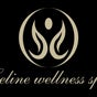 Celine Wellness Spa - 2104 Gallows Road, Suite A, Vienna, Virginia