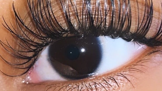 D.king Lashes/Aesthetics/Training