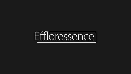 Effloressence – Montreal (ia Salon)