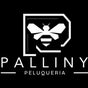 Palliny peluqueria - Crr 23 70 a 43, la camelia, Manizales, Caldas