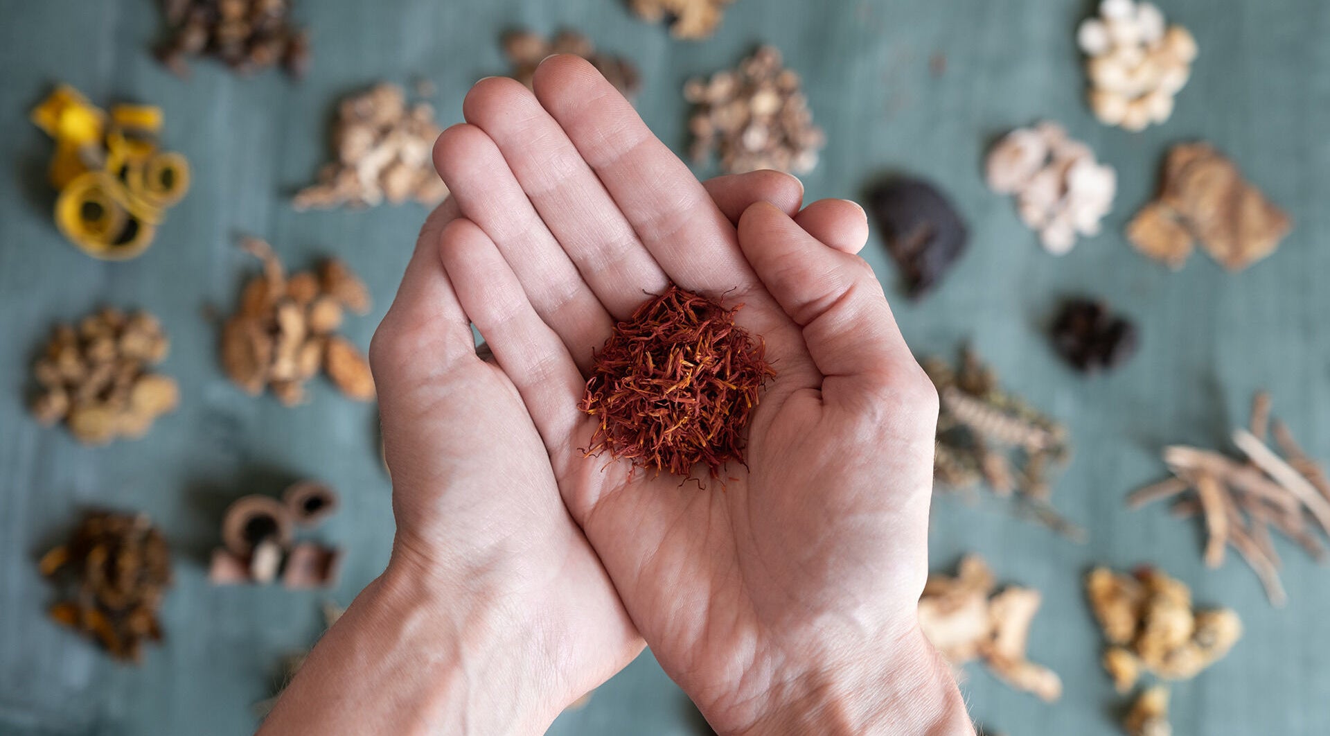 Gehaltene Heilkräuter bei Online Praxis für Chinesische Heilkräutermedizin in Essen, Nordrhein-westfalen, DE.