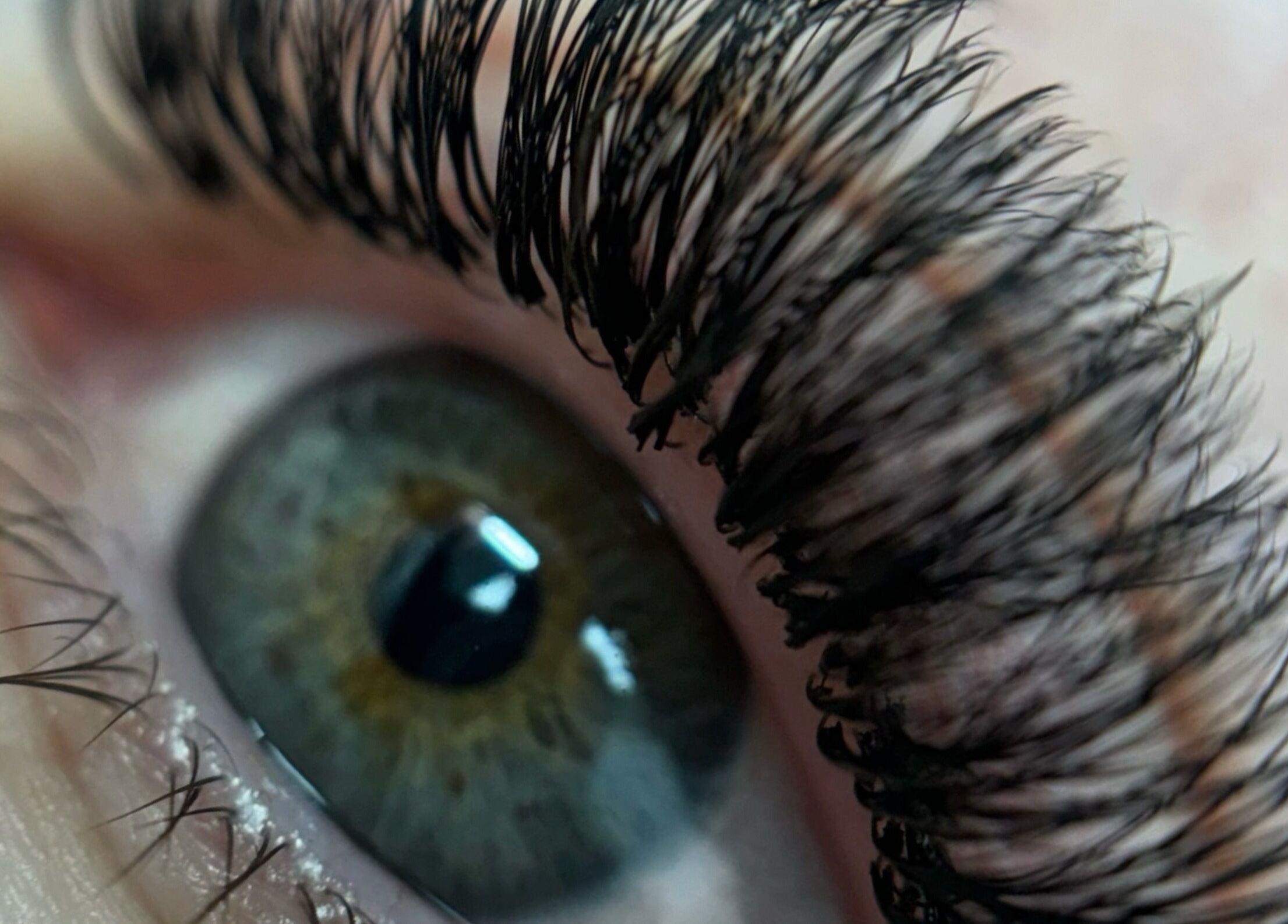 Close-up of beautifully enhanced lashes at HB Aesthetics, Cannock, England, GB.