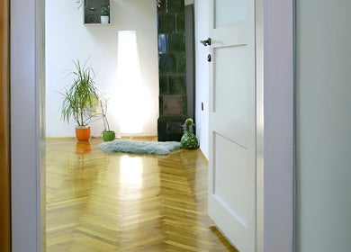 Ulaz u mirnu sobu u Dodirom Do Zdravlja - Yoga and Bodywork, Zagreb, Grad Zagreb, HR s biljkom i lampom.