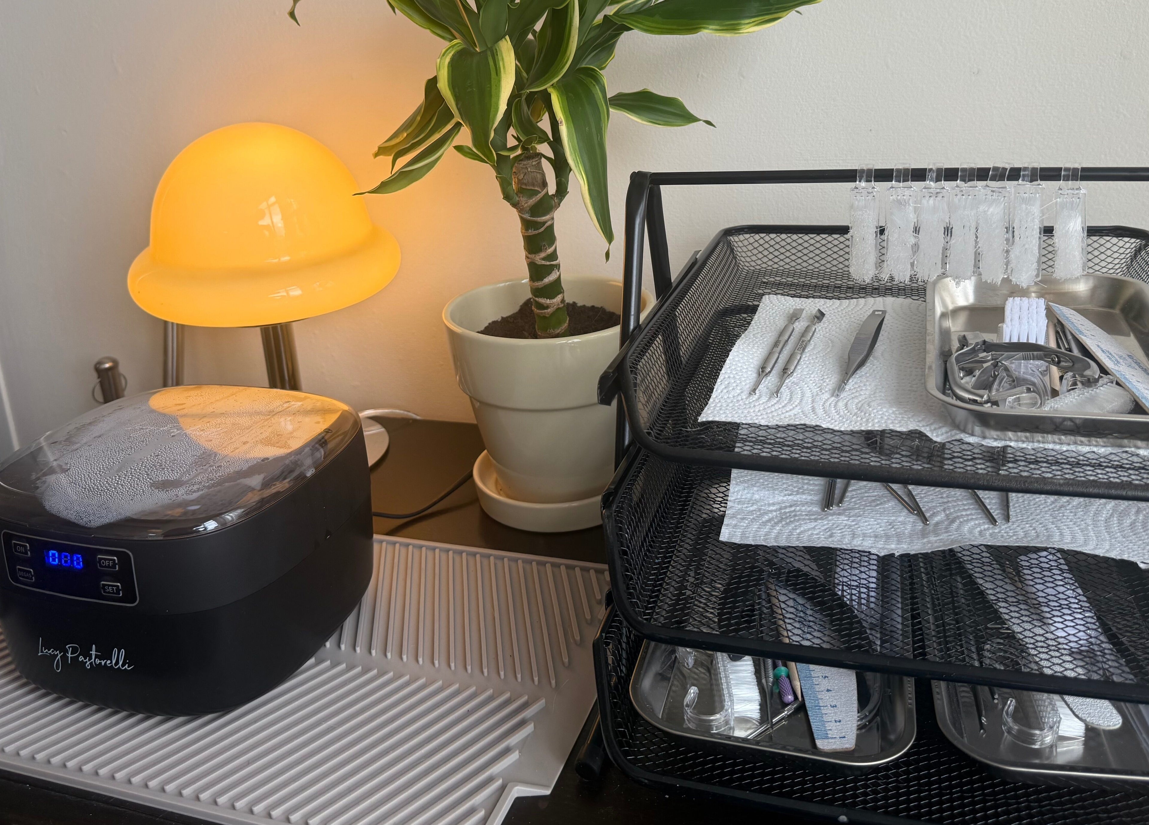 Beauty tools and plant at Port Studio, Stockport, England, GB.