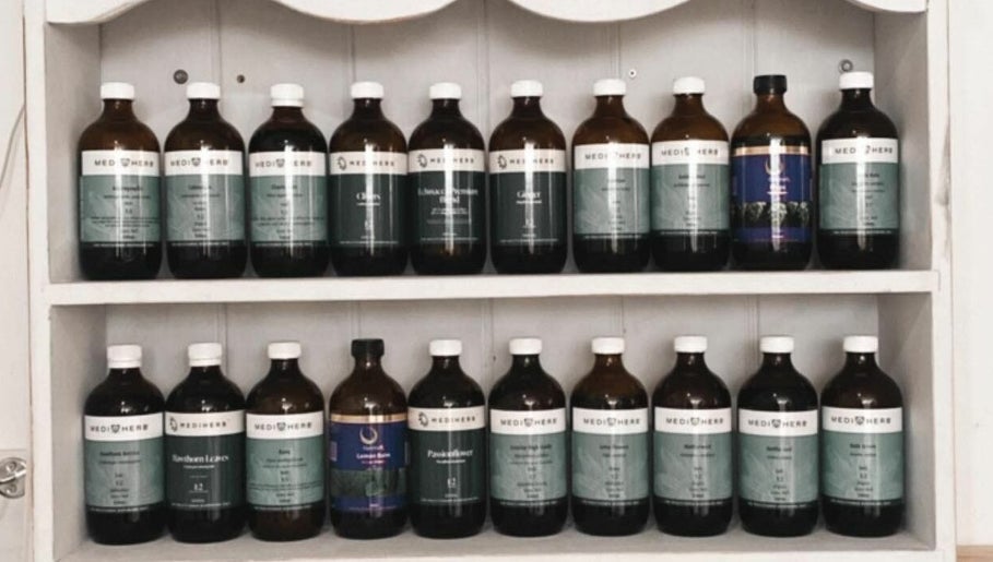 Hannah Forest Herbalist Virtual Clinic image 1