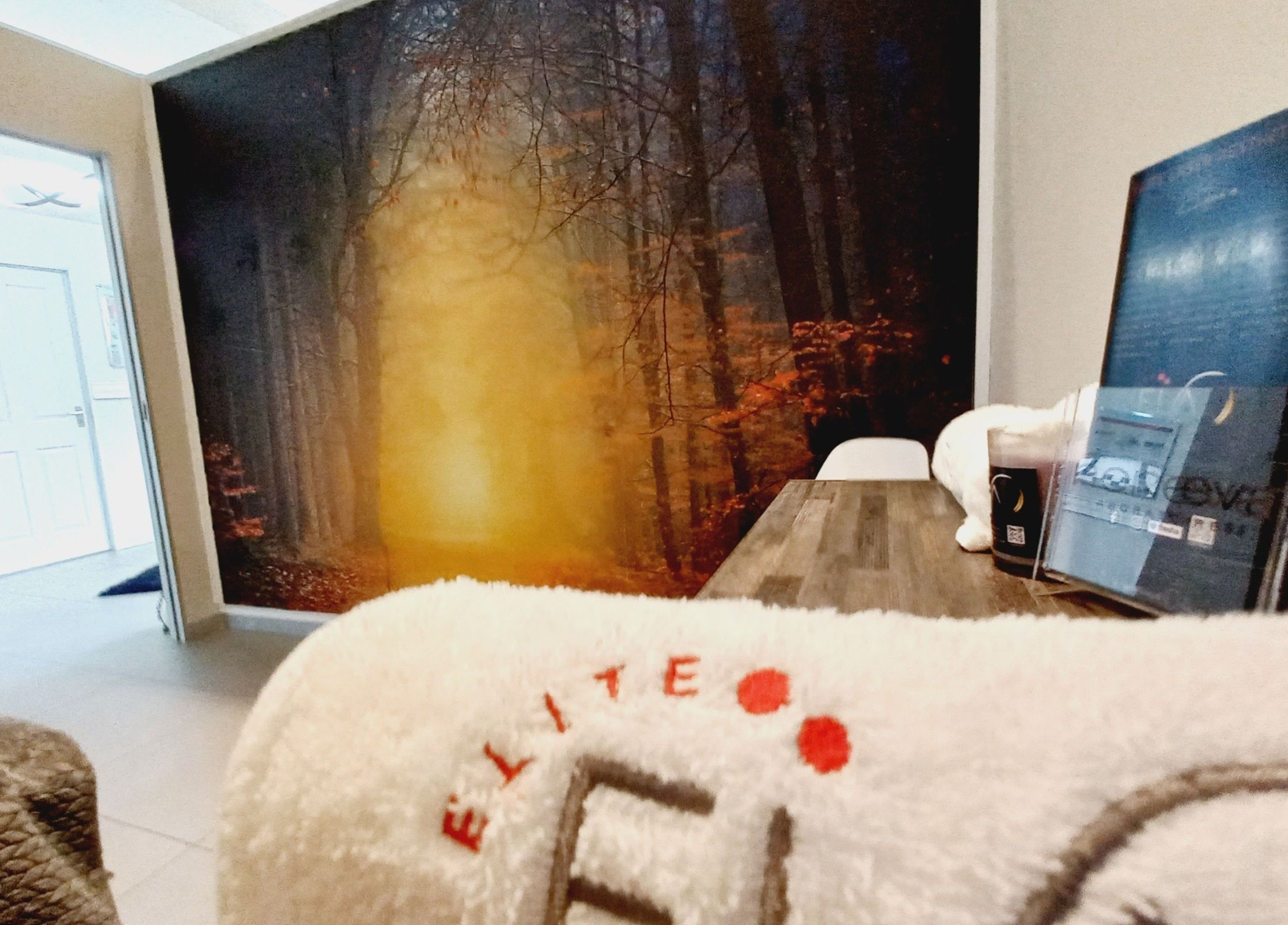 Cozy corner at Elite Laser Aesthetics, Randburg, Gauteng, ZA showcasing a tranquil forest mural and comfy seating.