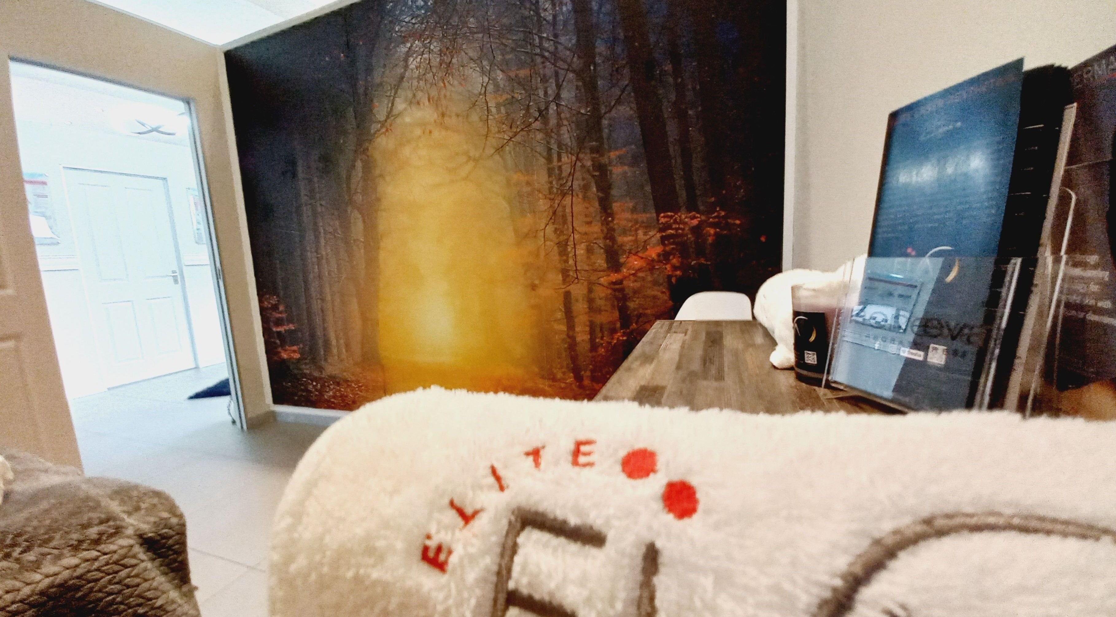 Cozy corner at Elite Laser Aesthetics, Randburg, Gauteng, ZA showcasing a tranquil forest mural and comfy seating.