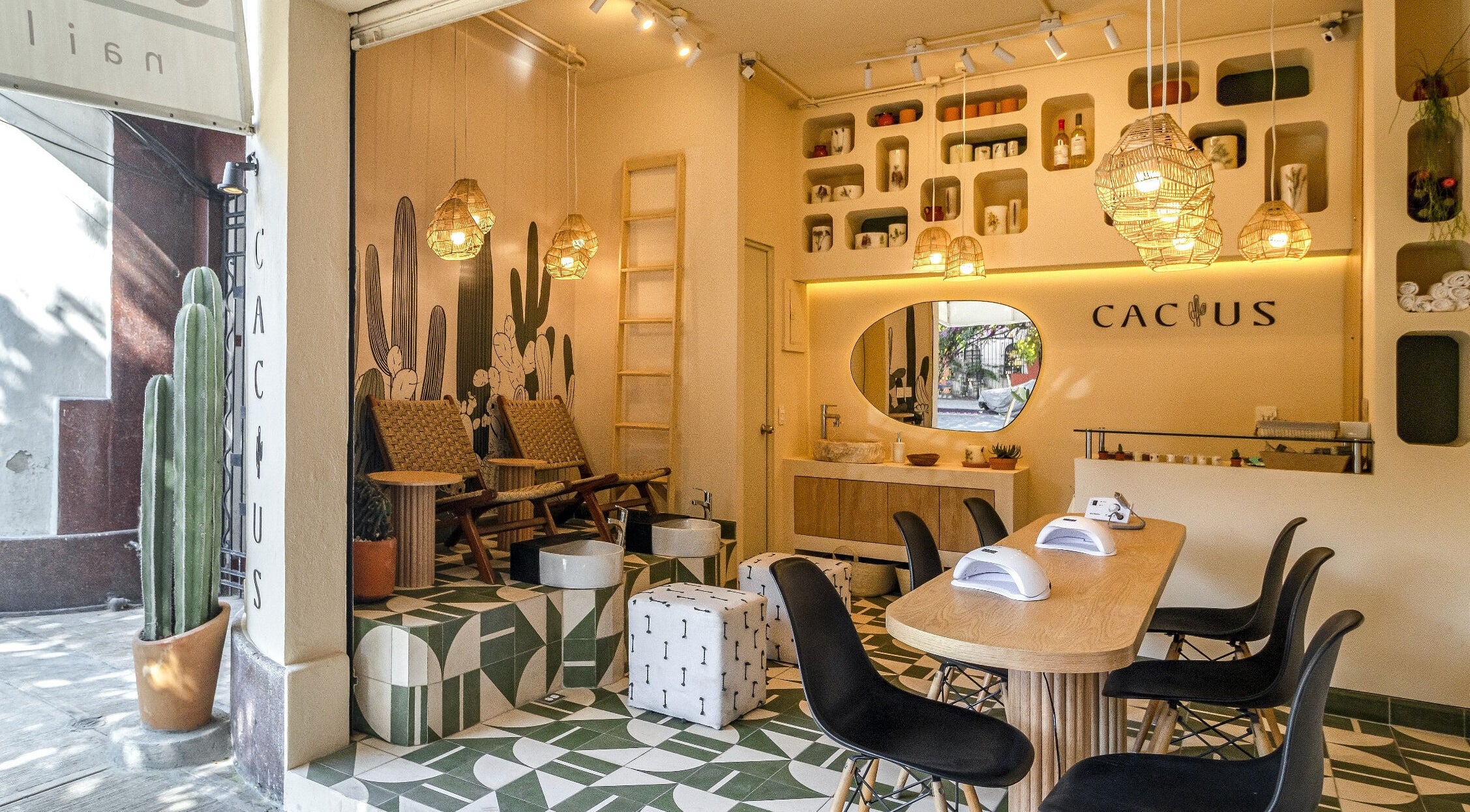 Interior del Cactus Condesa en Ciudad De México, diseño acogedor con cáctus y ambiente relajante.