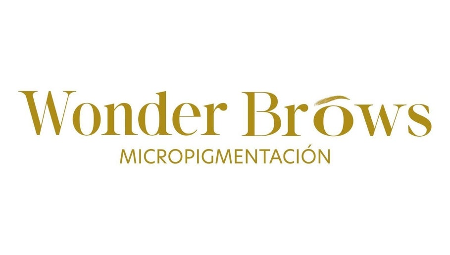 Gambar Wonder Brows 1
