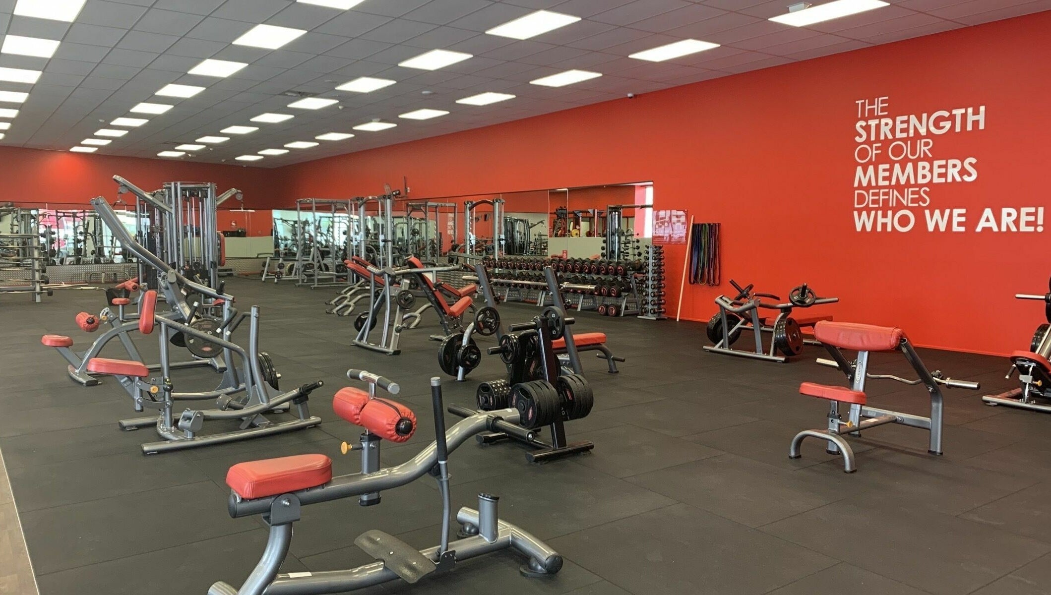 Modern gym interior at Snap Fitness Invercargill, Invercargill, Southland, NZ with red-accented exercise equipment.