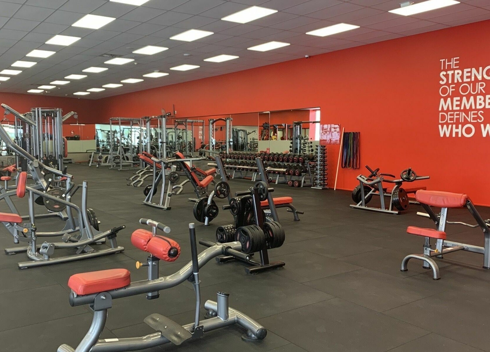Modern gym interior at Snap Fitness Invercargill, Invercargill, Southland, NZ with red-accented exercise equipment.