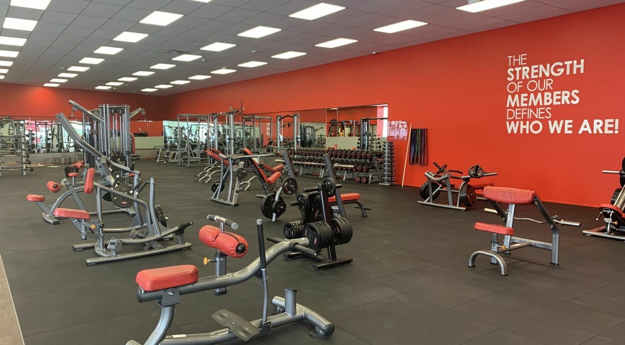 Modern gym interior at Snap Fitness Invercargill, Invercargill, Southland, NZ with red-accented exercise equipment.