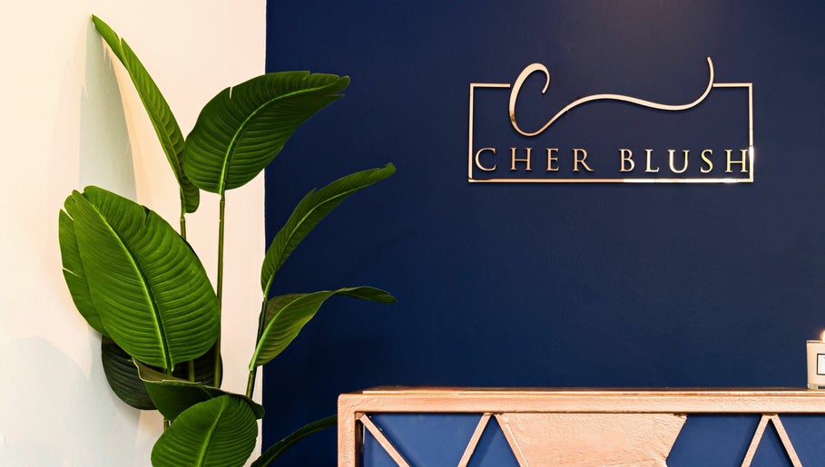Cher Blush image 1