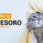 Kanu Pet -  El Tesoro - Centro Comercial El Tesoro, El Poblado, Los Naranjos, Medellín, Antioquia