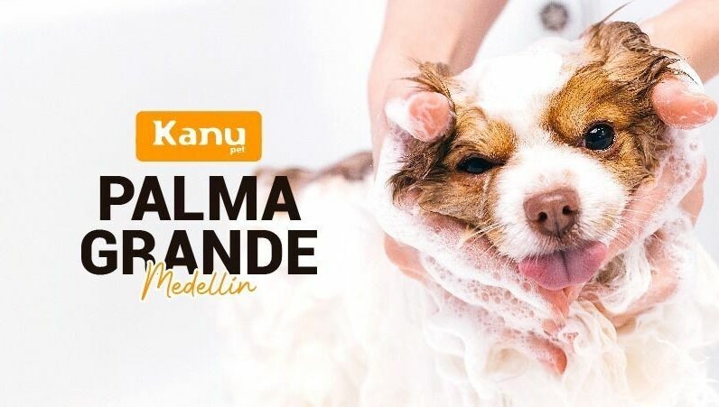 Εικόνα Kanu Pet Palma Grande 1