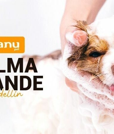 Kanu Pet Palma Grande зображення 2