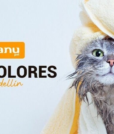 Imagen 2 de Kanu Pet Los Colores