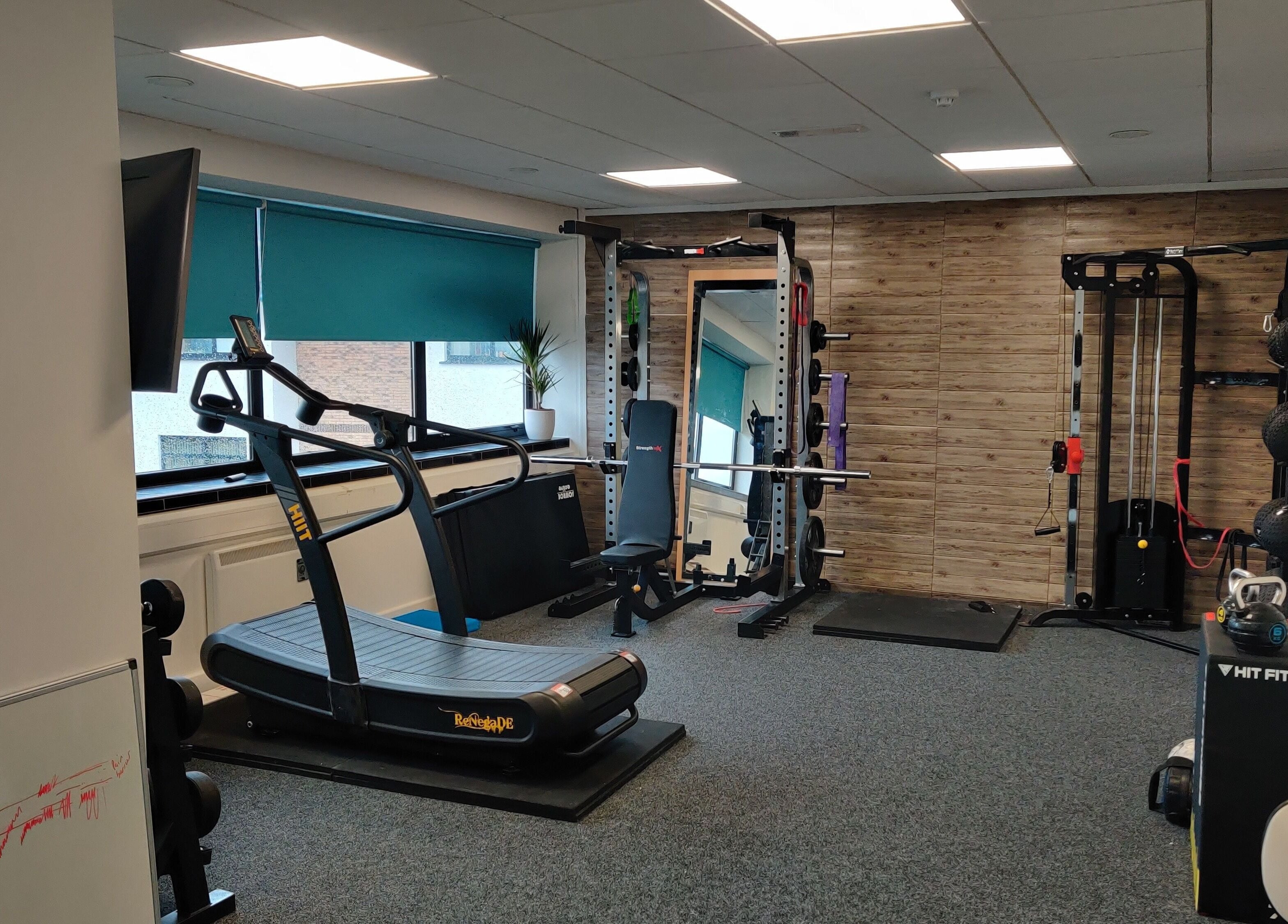 Fitness equipment at Kieran McNally: Pain and Movement Specialist, Daneswell Business Park, Athlone, County Roscommon, IE.