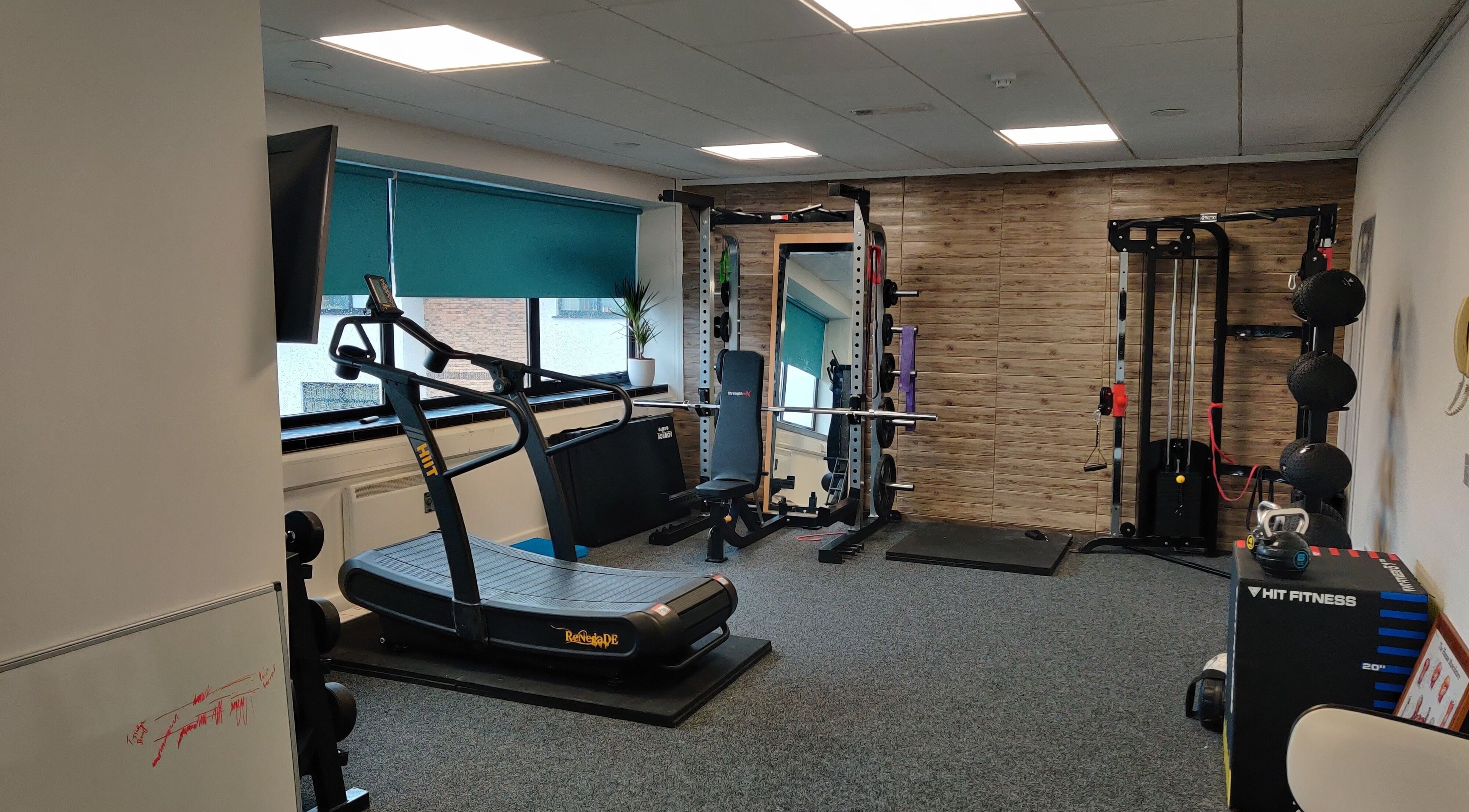 Fitness equipment at Kieran McNally: Pain and Movement Specialist, Daneswell Business Park, Athlone, County Roscommon, IE.
