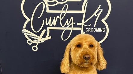 Curly K9 Grooming image 2
