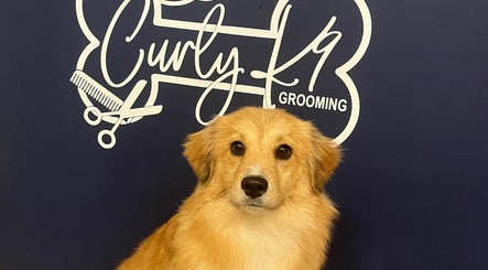 Curly K9 Grooming image 3