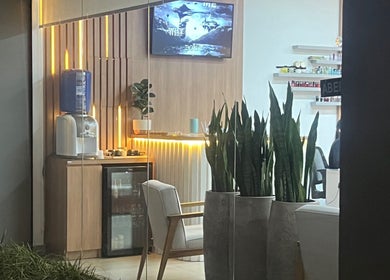 Interior do Estúdio Valen em Rio Grande Do Sul, BR, com cadeira, plantas e decoração acolhedora.