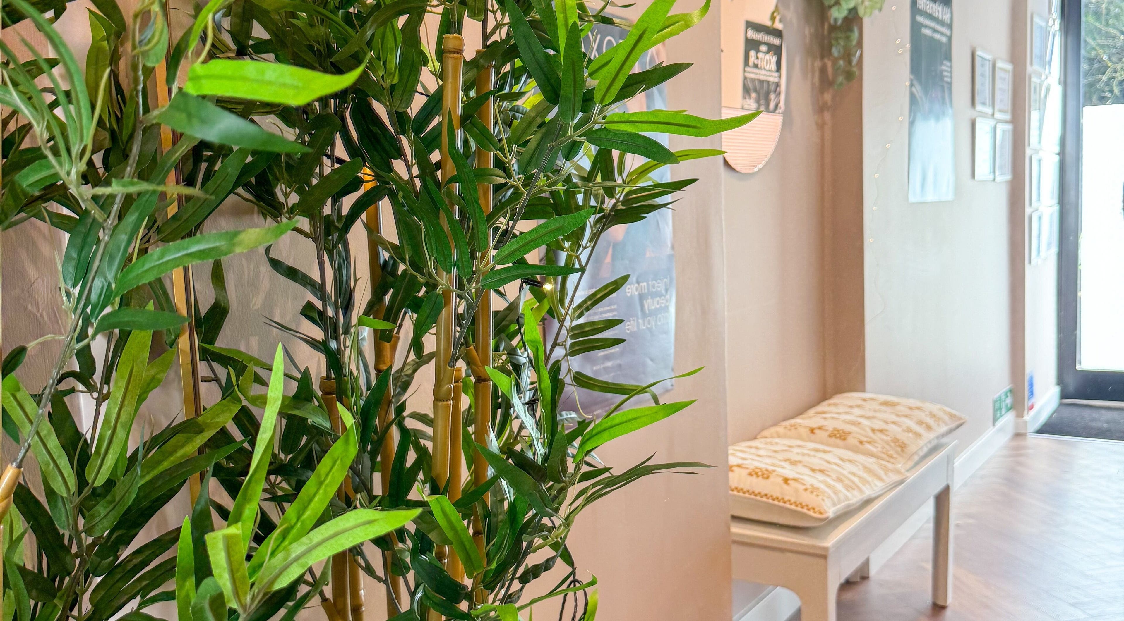 Inviting lounge area with lush greenery at The Alchemy Clinic Bridge of Weir, Bridge of Weir, Scotland, GB.
