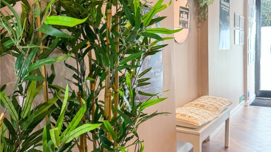 The Alchemy Clinic Bridge of Weir