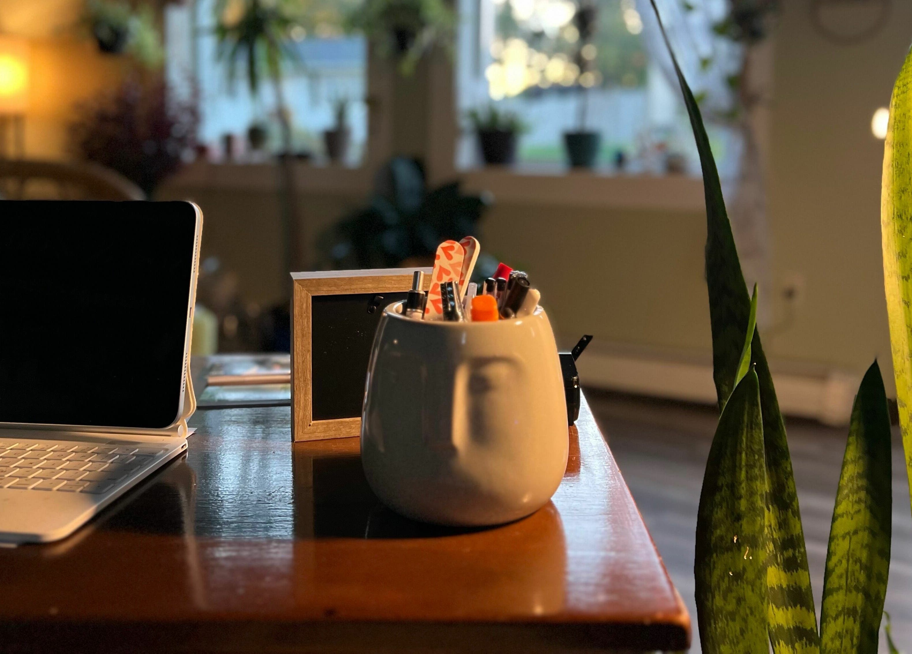 Cozy workspace with plants at Now and Zen Wellness LLC, Throop, Pennsylvania, US.