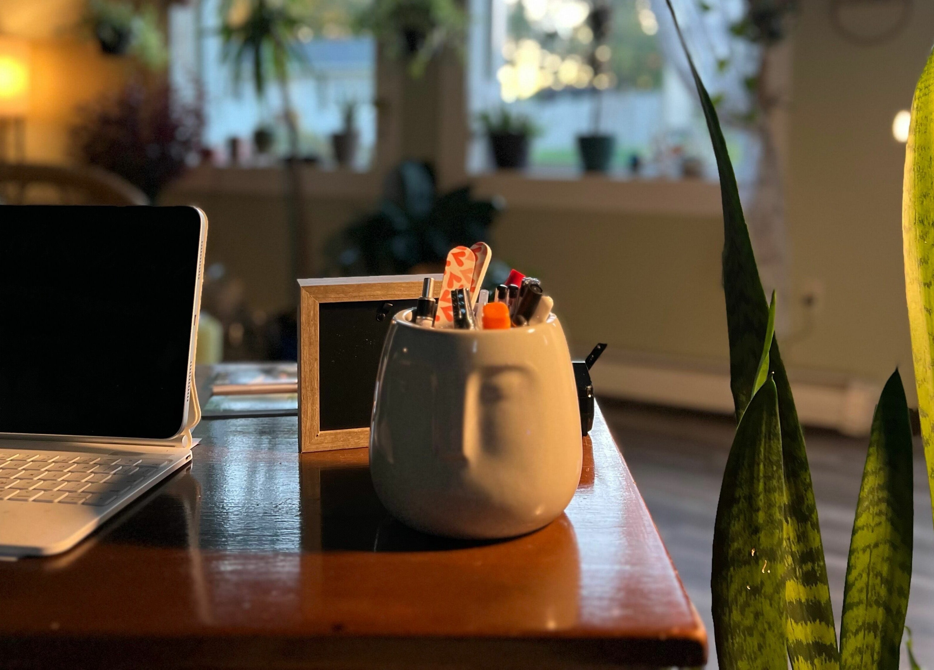 Cozy workspace with plants at Now and Zen Wellness LLC, Throop, Pennsylvania, US.