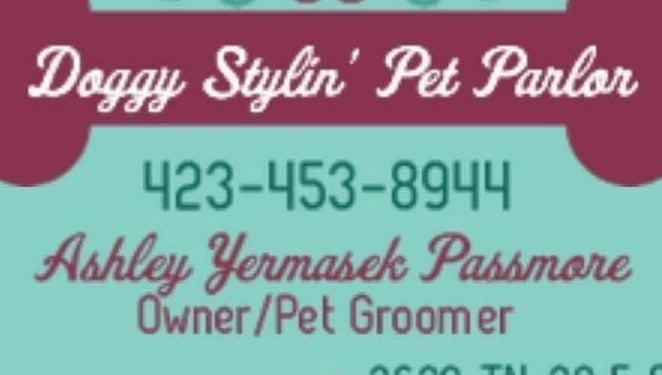 Doggy Stylin Pet Parlor obrázek 1